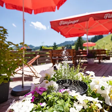 Almgasthof Grafenherberg *