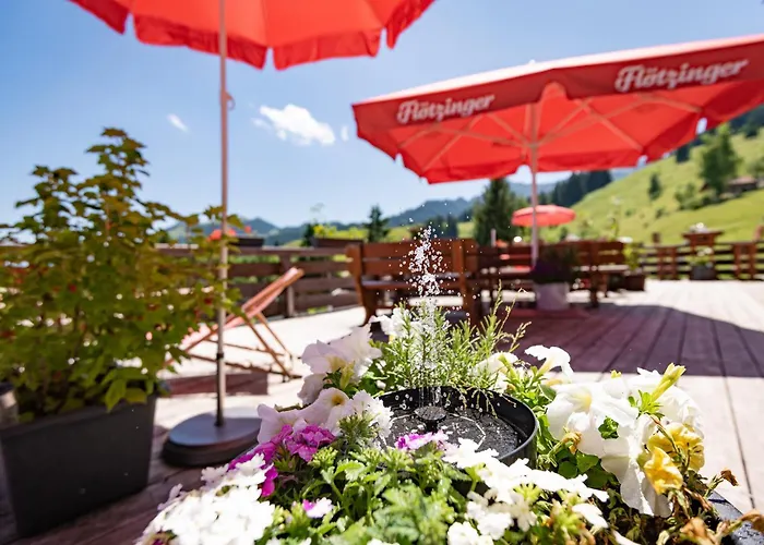Almgasthof Grafenherberg *